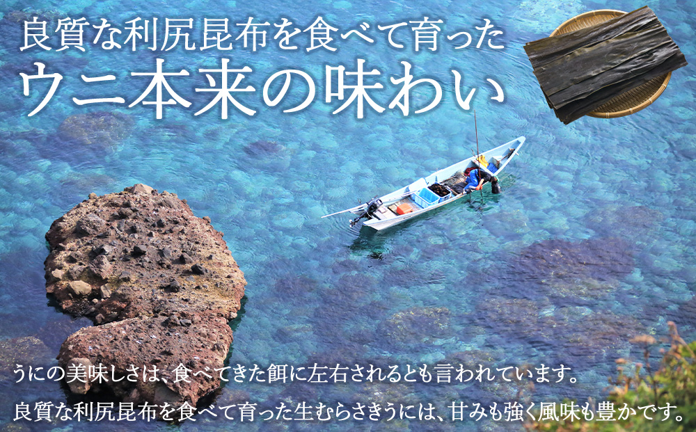 【うにの名産地稚内市】最北端の生むらさきうに(100g×1)　