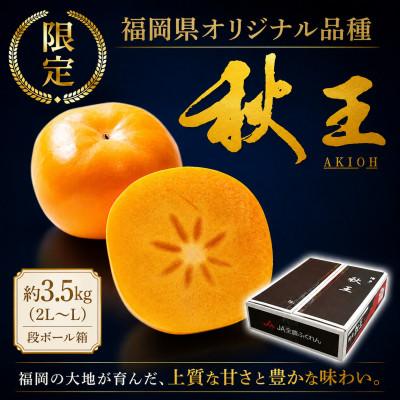 ふるさと納税 大木町 【2026年10月下旬〜11月発送】秋王 計約3.5kg