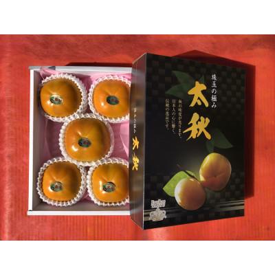 ふるさと納税 宇土市 【ギフト用】太秋柿 約2kg(5L大玉 5〜6玉)