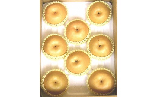 【ふるさと納税】【先行予約】浜田市旭町産赤梨 3.5kg（新興）4〜7玉＜11月上旬から発送開始予定＞ 梨 新興 ナシ 和梨 果物 フルーツ くだもの ふるさと納税 梨【002_0924】