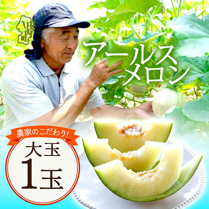 【8月より順次発送】アールスメロン 大玉1玉（入金期限：2026.7.20）