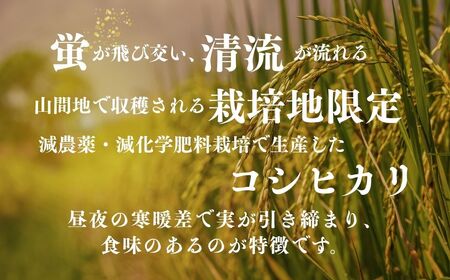 パックご飯『蛍米』180g×24パック パックご飯 パックご飯 パックご飯 パックご飯 パックご飯
