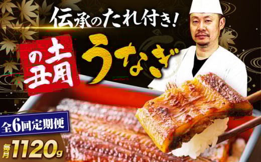 鰻【全6回定期便】うなぎ 蒲焼き 冷蔵 真空パック 8尾（2尾×4箱）ウナギ 絶品 国産 うな丼 鰻丼 うな重 鰻重 かば焼き 蒲焼 高級 丑の日 土用の丑の日 おすすめ 人気 お取り寄せ 送料無料 贈答 冷蔵 真空パック ギフト グルメ 惣菜 簡単調理 時短 湯煎 栄養満点 健康 贅沢 ご褒美 逸品 極上 ふっくら ふわふわ 食感  愛媛県大洲市/有限会社 樽井旅館[AGAH024]