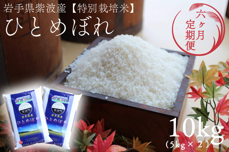 
★令和6年産★【6回定期便】特別栽培米　ひとめぼれ10kg（5kg×2袋）岩手県紫波町産 (AD054)
