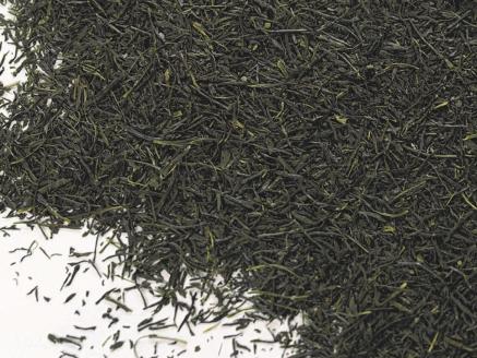 新茶 静岡川根茶　特選新茶100g×5本