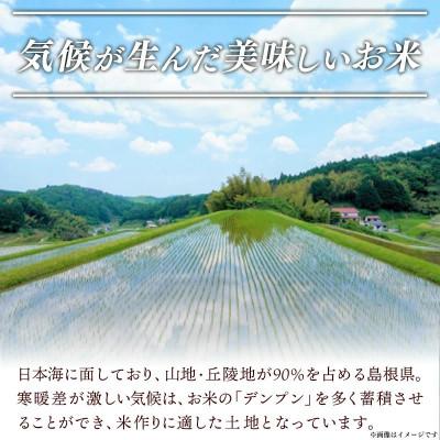 ふるさと納税 安来市 食味鑑定士厳選　島根こしひかり 15kg(5kg×3袋)(安来市) |  | 02