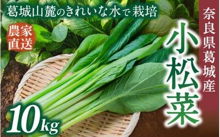 奈良県産 小松菜 約10kg  【順次発送】 葛城市【smlk063】