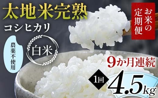 
                  【先行予約】お米の定期便 農薬不使用米 太地米完熟 【こしひかり】 白米4.5kg×9か月連続 ブランド米 お米 精米 白米 人気 F7X-0734
                