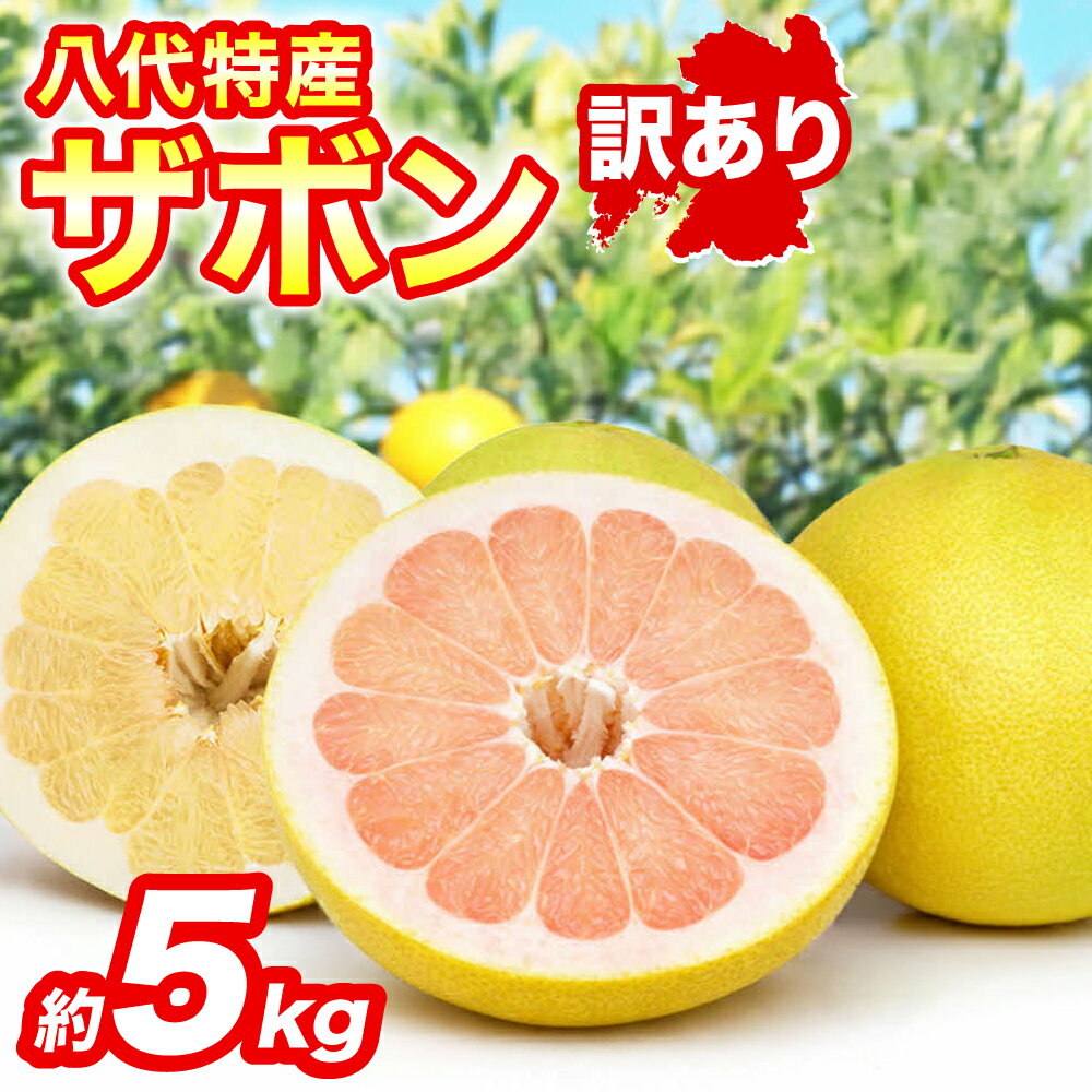 【ふるさと納税】 【先行予約】 【訳あり】 八代ザボン (赤肉または白肉) 約5kg (3～6玉) 果物 くだもの 果汁 柑橘 おやつ フルーツ デザート 熊本県 八代市 送料無料 【2026年11月上旬より順次発送】