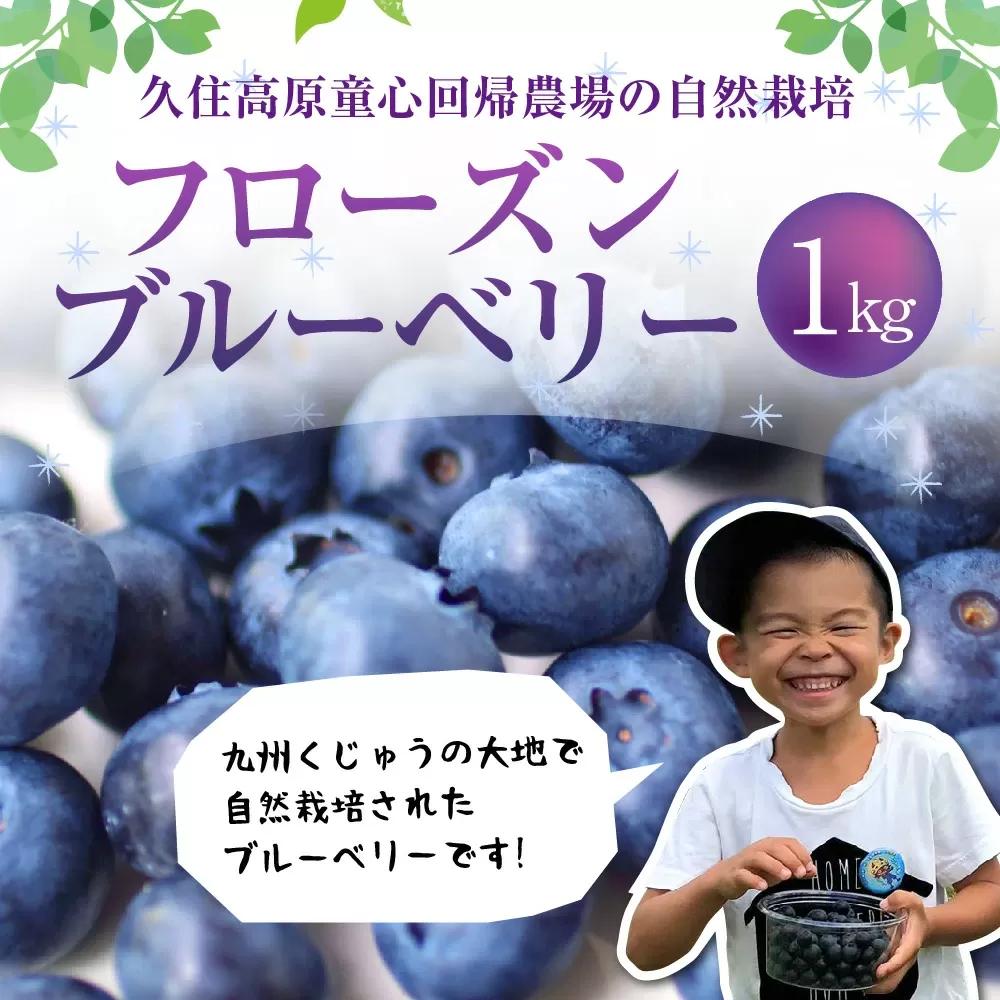 久住高原童心回帰農場の自然栽培 フローズン ブルーベリー 約1kg 冷凍【2026年7月下旬より発送開始】