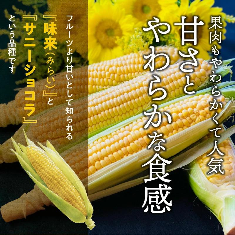 【2026年発送】朝採り直送 メロンより甘い 生とうもろこし“にっこりコーン” 7本 H095-027