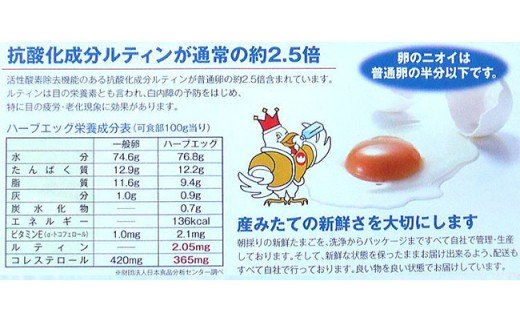無添加ハーブエッグぶっかけ究極のTkg産みたて新鮮タマゴ ふるさと納税 卵 F4F-0797