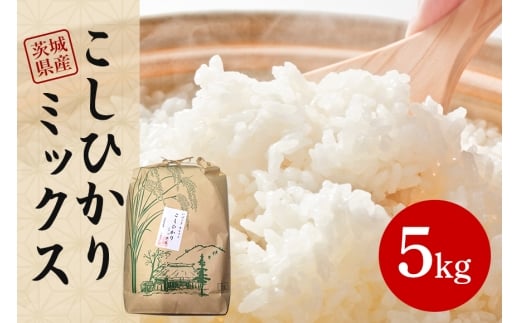 茨城県産 こしひかりミックス 令和7年産白米5kg B07-017