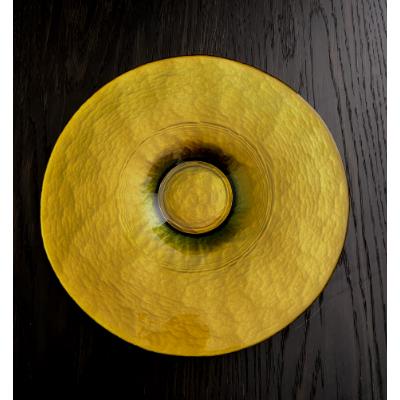 ふるさと納税 海南市 ディスコプレート　マジョグリーン　1枚