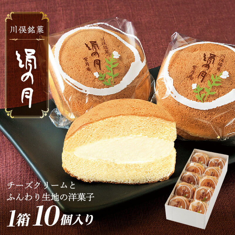 【ふるさと納税】銘菓 絹の月 10個入り FAF-0059