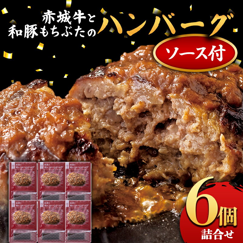 【ふるさと納税】赤城牛と和豚もちぶたのハンバーグ 6個詰め合せ（ソース付き） セット レトルト 食品 湯せん 湯煎 一人暮らし F4H-0838