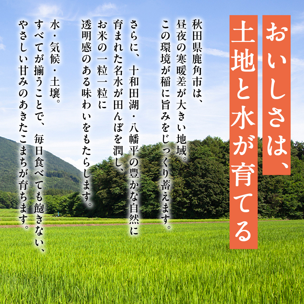 【定期便】令和8年産 あきたこまち 無洗米 15kg×9ヶ月【トライズ】