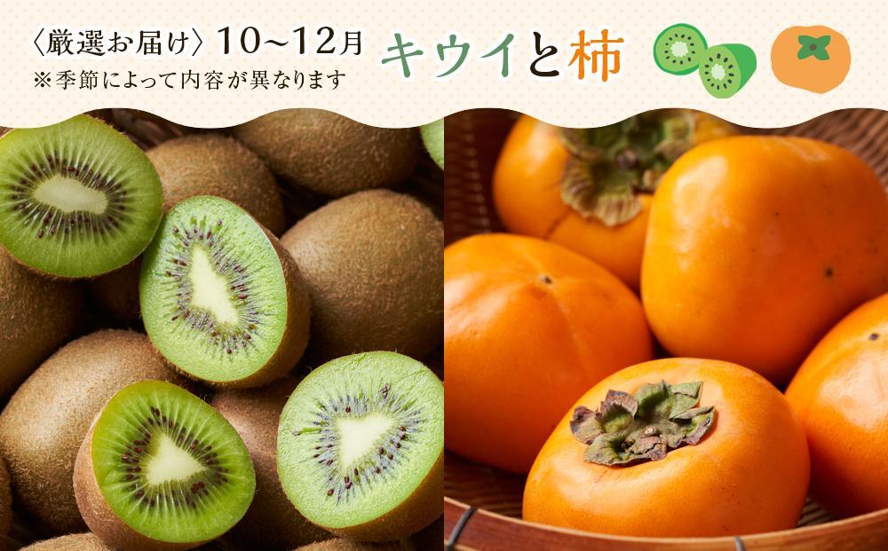 【お歳暮ギフト/熨斗対応】創業130余年！老舗果物店が見極めた、厳選フルーツ詰合せ♪大満足セット （5～8品種）