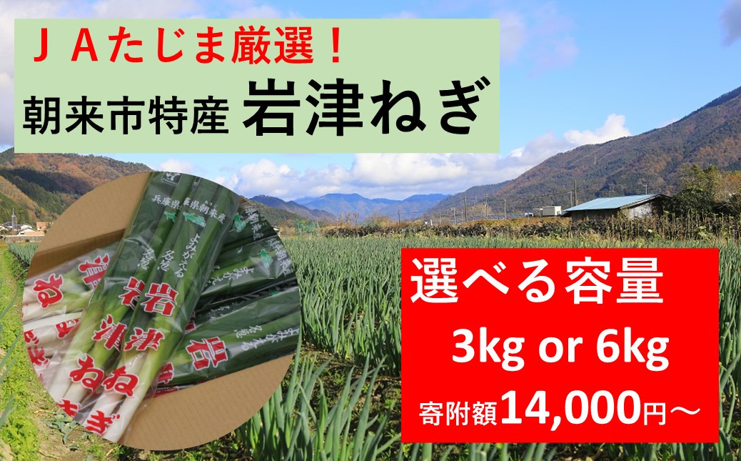 
            JAたじま厳選！ 朝来市特産 岩津ねぎ 3kg（300g×10袋） or 6kg（300g×10袋×2袋）
          