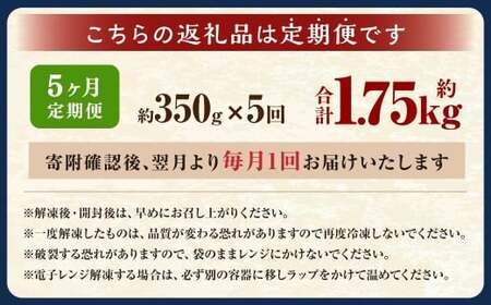 【5ヶ月定期便】 焼きイカ パック 約350g （350g x 1袋） × 5回 （合計：1750g） ／ イカ いか 烏賊 焼イカ 焼いか 焼烏賊 焼きいか 焼き烏賊 自家製タレ 特製タレ 味付き 