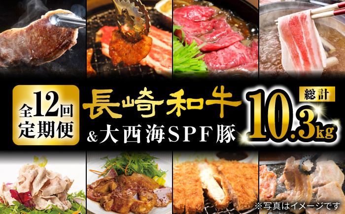 
            【12回定期便】 長崎和牛 大西海 SPF豚 ☆オールスター 定期便 ☆ ＜大西海ファーム＞ [CEK186] 長崎 西海 和牛 国産 SPF豚 国産豚 サーロインステーキ 定期便 人気 すき焼き スライス 便利 贈答 ギフト
          