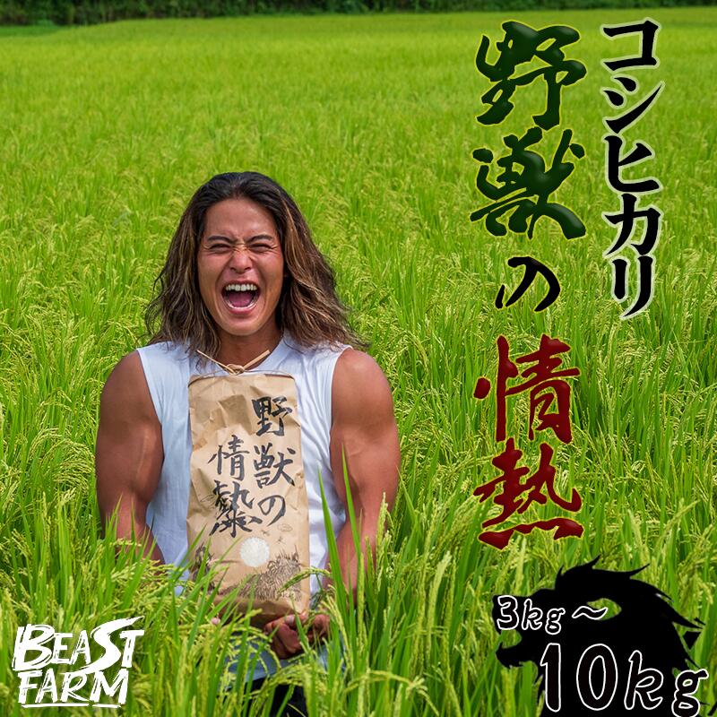 【ふるさと納税】 コシヒカリ 3kg・5kg・10kgから選べる令和7年産 新米 野獣の情熱 8月下旬より発送予定 高知県産 白米 精米 ごはん お米 産地直送 井上農園 ビースト農園 新米コシヒカリ おすすめ 人気 ランキング 贈り物 高知県 須崎市