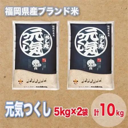 福岡県産ブランド米元気つくし(合計10kg)_ 精米 米 _【1411439】