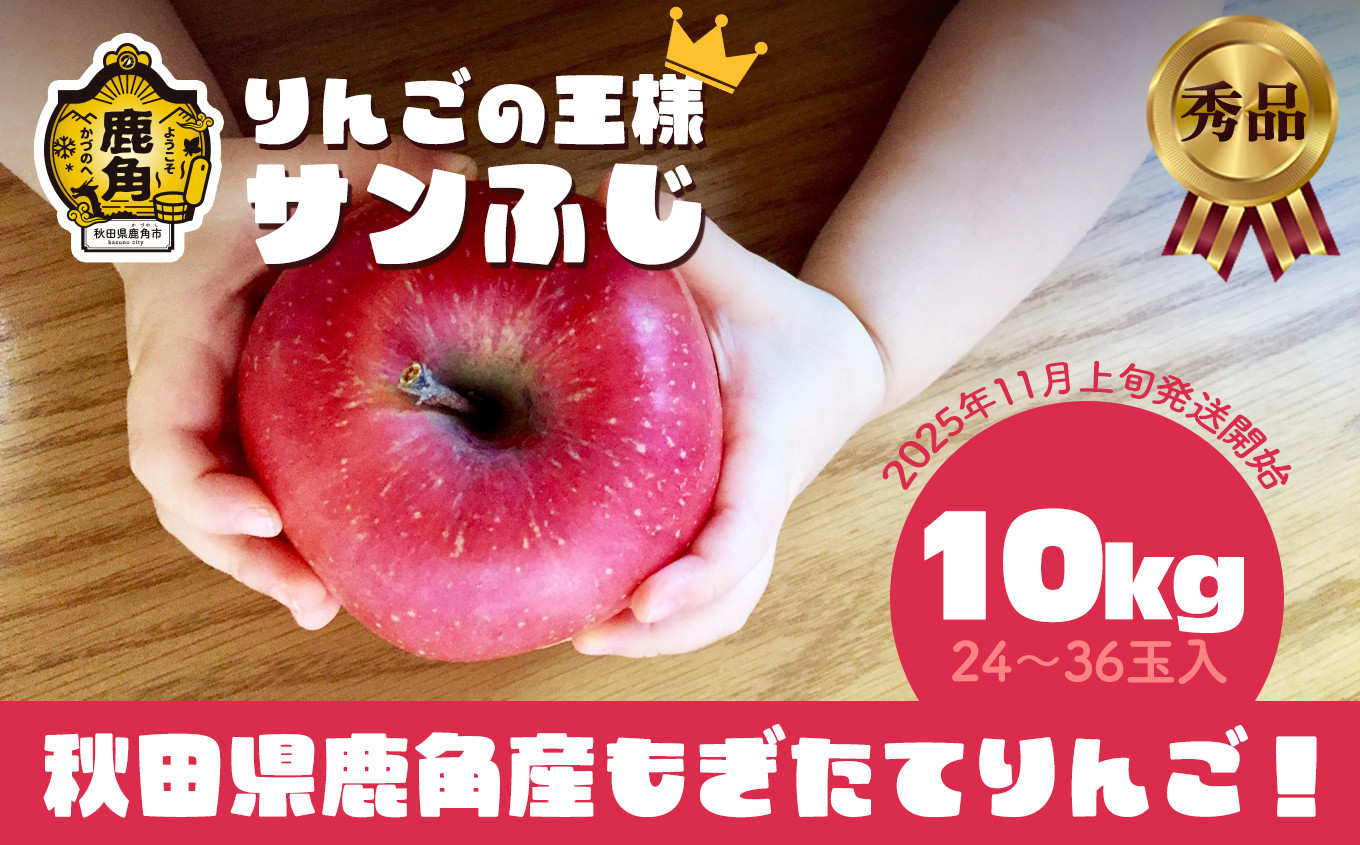 
                  《先行予約》秋田県鹿角産 りんご 秀品 サンふじ 約 10kg（24～36玉入） ●2026年11月上旬発送開始 【ケーケー農園】かづのりんご 食感 果汁 さっぱり リンゴ 完熟 旬 県産りんご 林檎 お中元 お歳暮 贈り物 お見舞い グルメ ギフト 故郷 秋田 あきた 鹿角市 鹿角 送料無料 
                