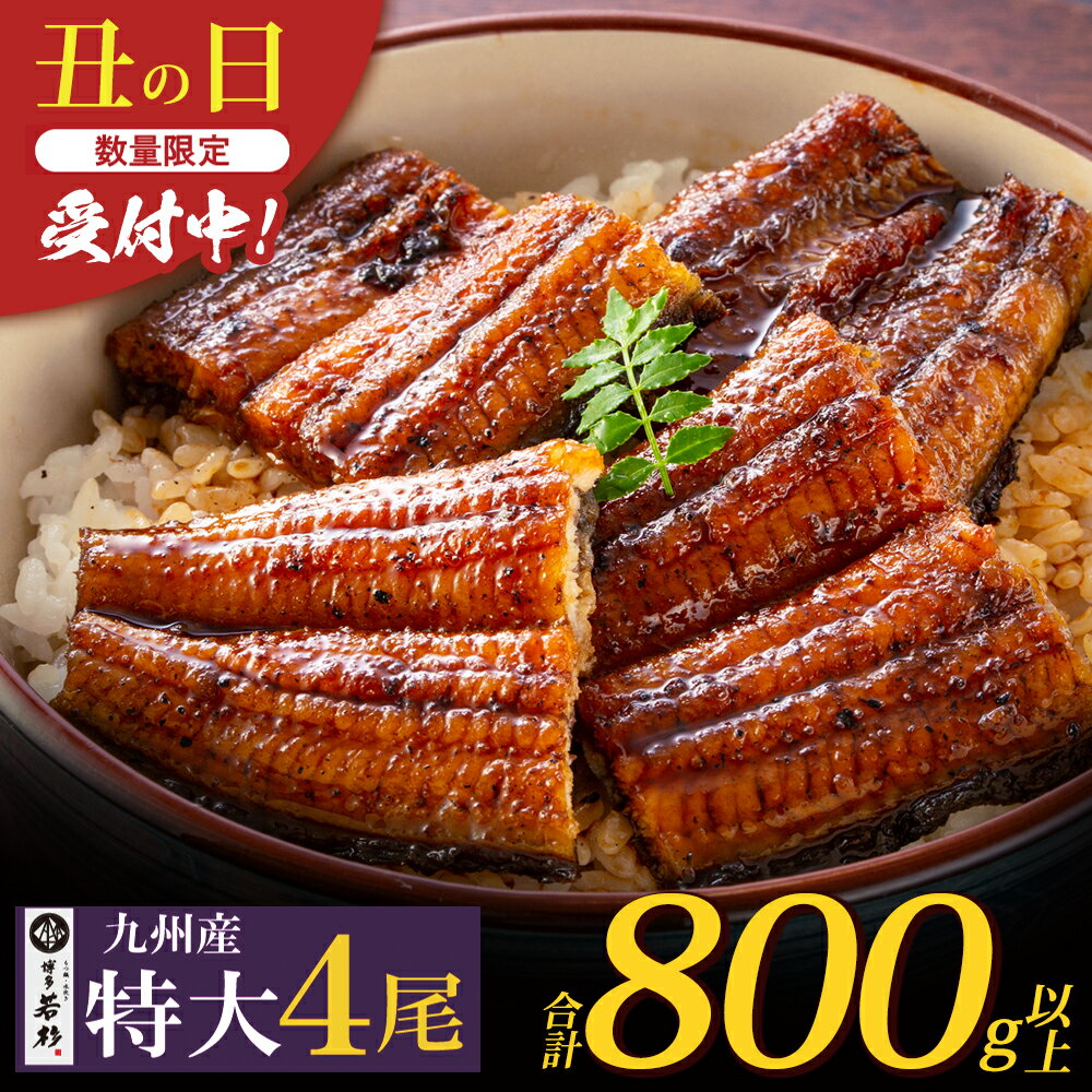 国産うなぎ蒲焼特大4尾（800g以上）タレ・山椒付