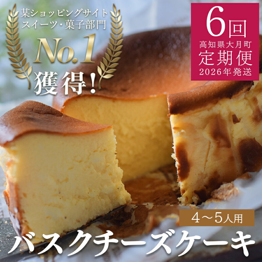 【ふるさと納税】【定期便 6回】バスクチーズケーキ