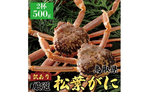 
                  1057.【2027年1月～2027年3月発送】特撰 松葉がに（なま）【訳あり】500g超のサイズ 食べ応えあり 2杯
                