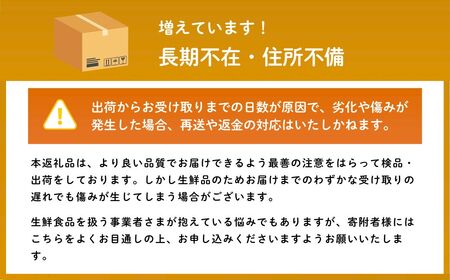 [先行受付]もてぎ育ちのシャインマスカット 約800g（2房）| ｼｬｲﾝﾏｽｶｯﾄ ｼｬｲﾝﾏｽｶｯﾄ ｼｬｲﾝﾏｽｶｯﾄ ｼｬｲﾝﾏｽｶｯﾄ ｼｬｲﾝﾏｽｶｯﾄ