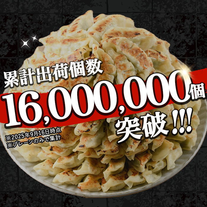 鹿児島黒豚の生餃子(12個×20P・計240個) 黒豚 国産 野菜 おかず おつまみ ぎょうざ ギョウザ 惣菜 冷凍 おかず 弁当 小分け【鹿児島協同食品】【A-1857H】