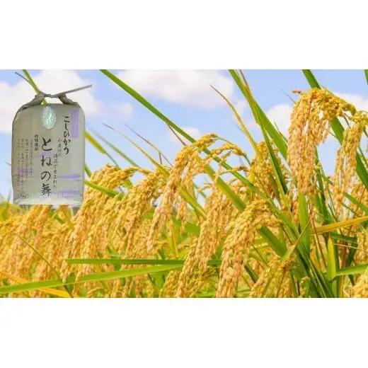 【6ヶ月定期便】《 令和7年産 》米 コシヒカリ 「 とねの舞 」 精米 5kg ／ 米 こめ コメ お米 おこめ コシヒカリ こしひかり とねの舞 白米 ごはん 令和7年産 5kg 定期便 茨城県 