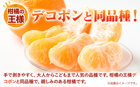 ＜先行予約＞秀品不知火（デコポンと同品種）12玉～24玉 約 4kg～5kg《2026年3月中旬-5月上旬頃出荷》竹本農園 和歌山県 日高川町 旬 新鮮 果物 柑橘 フルーツ 国産 デコポン でこぽん