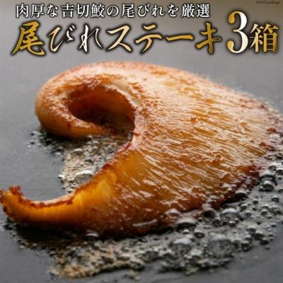 ふるさと納税 気仙沼市 2025 年内発送 【TVで紹介】ふかひれステーキ3箱 石渡商店 宮城県 気仙沼市 20565858