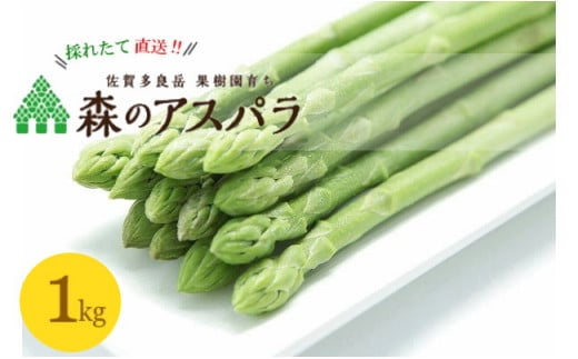 【令和7年3月より発送開始】NB-7 採れたて直送！「森のアスパラ」１kｇ　アスパラ アスパラガス 国産 佐賀県産 太良町 こだわり 新鮮 新鮮野菜 採れたて 産地直送 詰め合わせ セット 期間限定