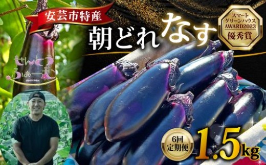【6回定期便】朝採れナス 約1.5kg 茄子 ナス 国産 高知 農家直送 野菜 ベジタブル 新鮮 なす 薄皮 焼きナス 美容 健康 朝どれ 焼き肉 アウトドア BBQ 和食 洋食 中華 おかず なすび せんとうふぁーむ常温 栽培 農業 地産地消 旬 夏野菜 ヘルシー ビタミン ミネラル 食物繊維 アントシアニン ポリフェノール 料理 家庭菜園 レシピ 安芸市 高知県