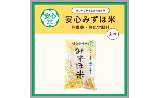 安心みずほ米 銀河のしずく 玄米 10kg 【1762】