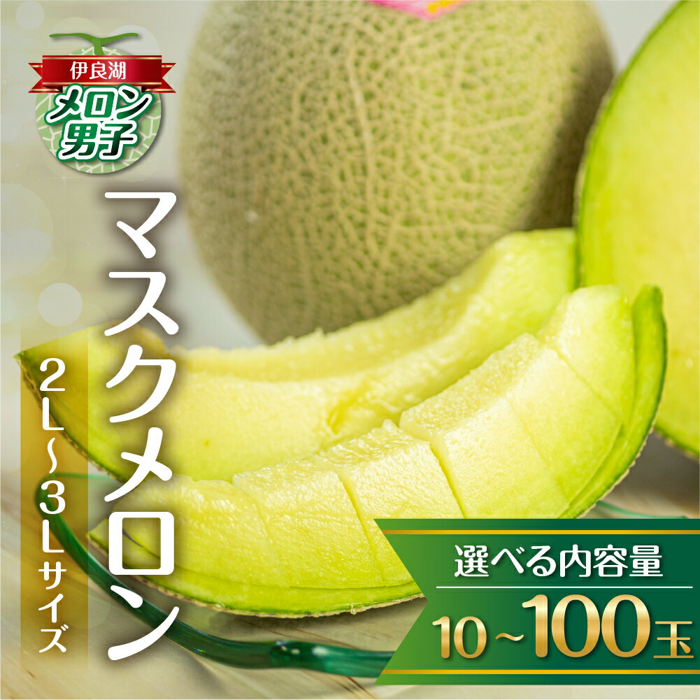 【ふるさと納税】先行予約 選べる内容量 伊良湖産 マスクメロン 5玉入り 2〜3Lサイズ 大容量 箱詰め メロン フルーツ 果物 お中元 お取り寄せ ギフト 渥美半島 田原市 伊良湖メロン男子 産地直送 送料無料 おすそ分け メロン 糖度 メロン 青肉