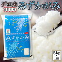 【ふるさと納税】 近江米 みずかがみ 白米5kg 令和6年産 送料無料 近江 米 BD07