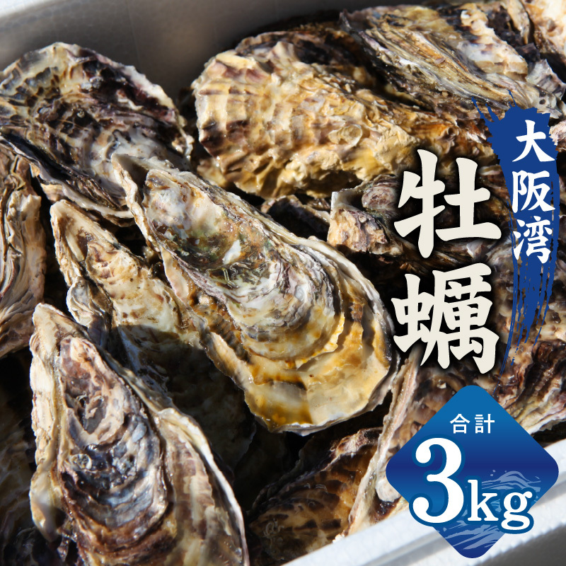 牡蠣 3kg【かき カキフライ 冷凍 加熱用 殻付き 魚介類 海鮮 大阪湾 産地直送】 G2187