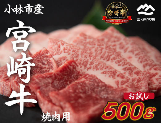 
【生産直送】国産 牛肉 宮崎牛 おためし焼肉　500ｇ×１Ｐ（お肉 モモ ウデ すき焼き 焼肉 赤身）
