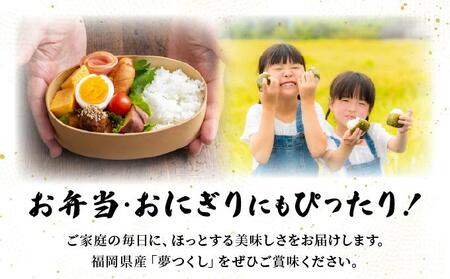 【令和7年産】福岡県産夢つくし5kg