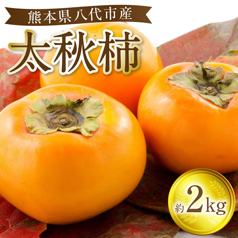 【ふるさと納税】【先行予約】 太秋柿 約2kg (5～8玉) フルーツ 果物 くだもの 柿 カキ 旬 甘い おやつ 熊本県 八代市 送料無料 【2026年10月上旬より順次発送】