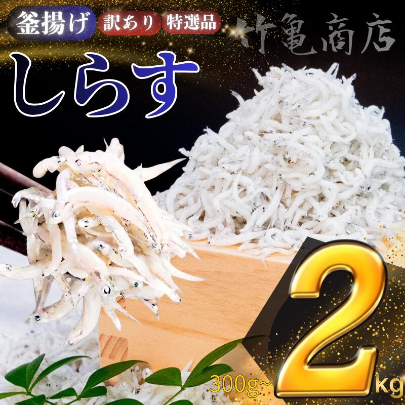 【ふるさと納税】 釜揚げしらす 300g ～ 2kg 選べる 小分け 訳あり 特選 釜揚げちりめん かちり めひかり シラス ちりめんじゃこ じゃこ おじゃこ 海鮮 魚介 おつまみ 珍味 ギフト 贈答 贈り物 お祝い 歳暮 中元 高知県 須崎市 国産 ふるさと納税しらす ふるさと納税ちりめん