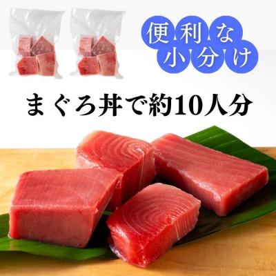 ふるさと納税 三浦市 天然三崎まぐろ 赤身切り落とし 1kg (500g×2袋)   お手軽な小分け 解凍レシピ付き |  | 01