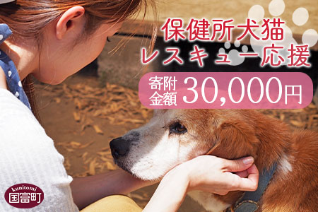 ＜保健所犬猫レスキュー【返礼品なしのご寄附】＞寄付金額30、000円※お礼状をお送りいたします。【 動物愛護 保護 犬 猫 いぬ ねこ イヌ ネコ 動物 どうぶつ ペット 応援 支援 寄付 使い道 いのちのはうす保護家 】