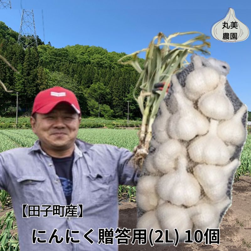 【ふるさと納税】丸美農園 田子産贈答用にんにく（2L）10個　 薬味 にんにく 田子町産 贈答用 野菜 たっこにんにく 　お届け：10月1日〜3月31日まで