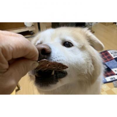 ふるさと納税 安芸高田市 鹿の内臓ジャーキー4点セット 犬 犬用 おやつ 鹿肉 内臓 ジャーキー[No5895-0844] |  | 01